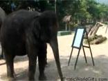 Слон рисует слона, смотреть видео.